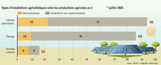 Agrivoltaïsme : des installations plus expérimentales en grandes cultures