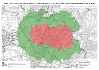 La zone réglementée étendue à l’Est