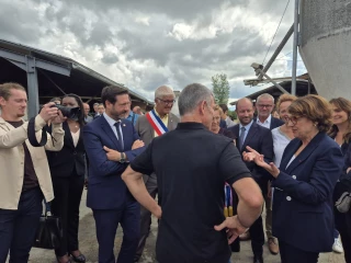 DNC : la Région aux côtés des éleveurs