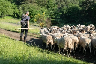La FNO veut une reconnaissance des aménités positives