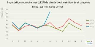 Les importations de viande bovine du Mercosur en forte hausse 