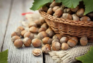 Néonicotinoïdes : le difficile chemin des alternatives 