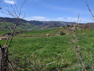 Grande douceur en mars, puis retour de l’hiver en fin de mois