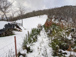 Un mois de janvier hivernal et humide