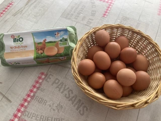 Un bond de l’activité œufs de consommation