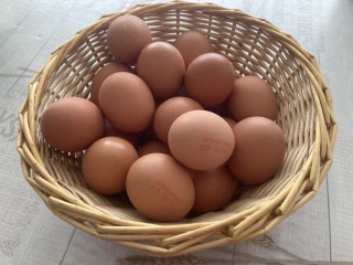 La rapporteure du Conseil d'État plaide pour un décret sur les cages