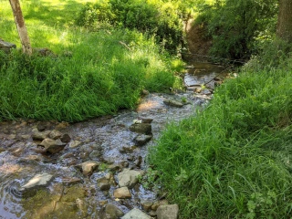 Lancement d'une cellule interministérielle